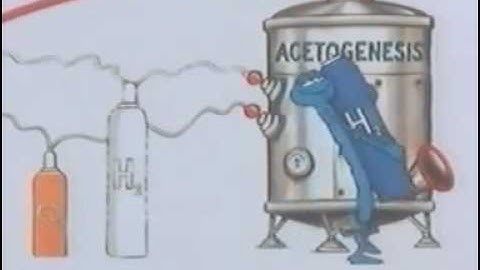 Digestión Anaerobia: Video animado (Español)