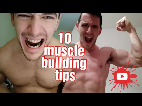 How to build muscle - YouTube