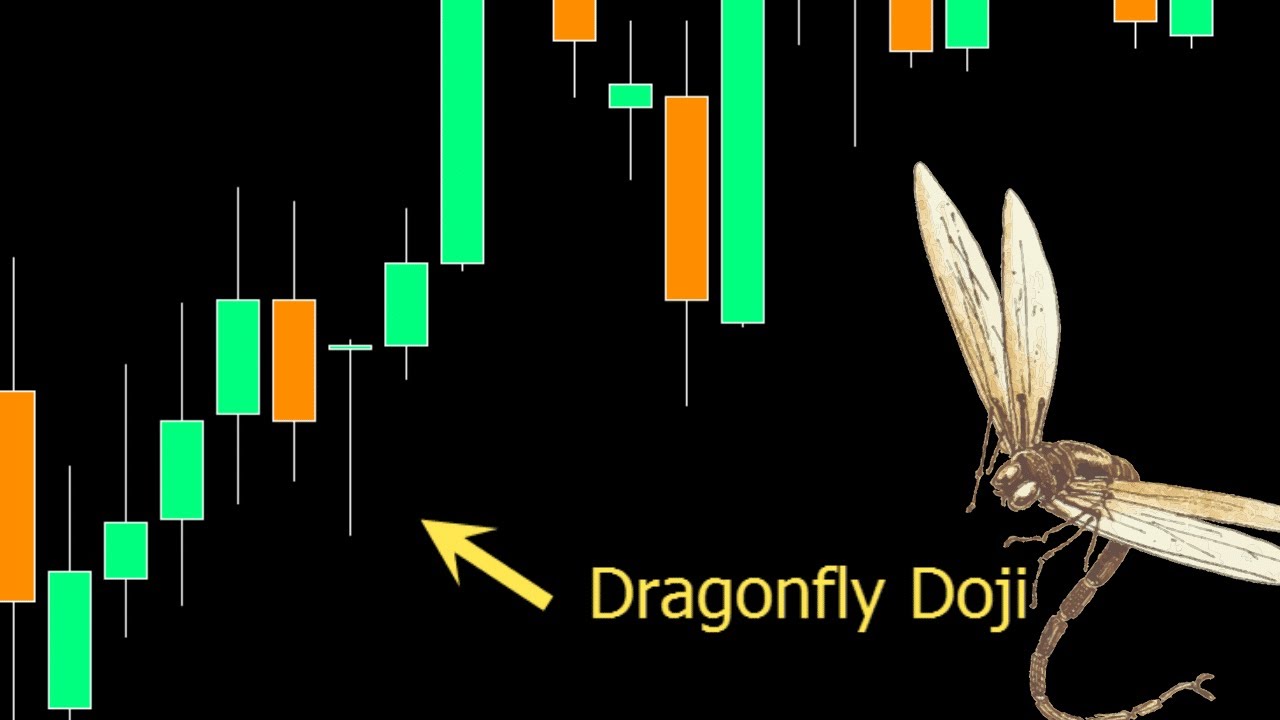 How to Work Dragonfly Doji YouTube