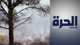 جهود فرق الإطفاء الجزائرية تنجح في إخماد 80% من حرائق الغابات