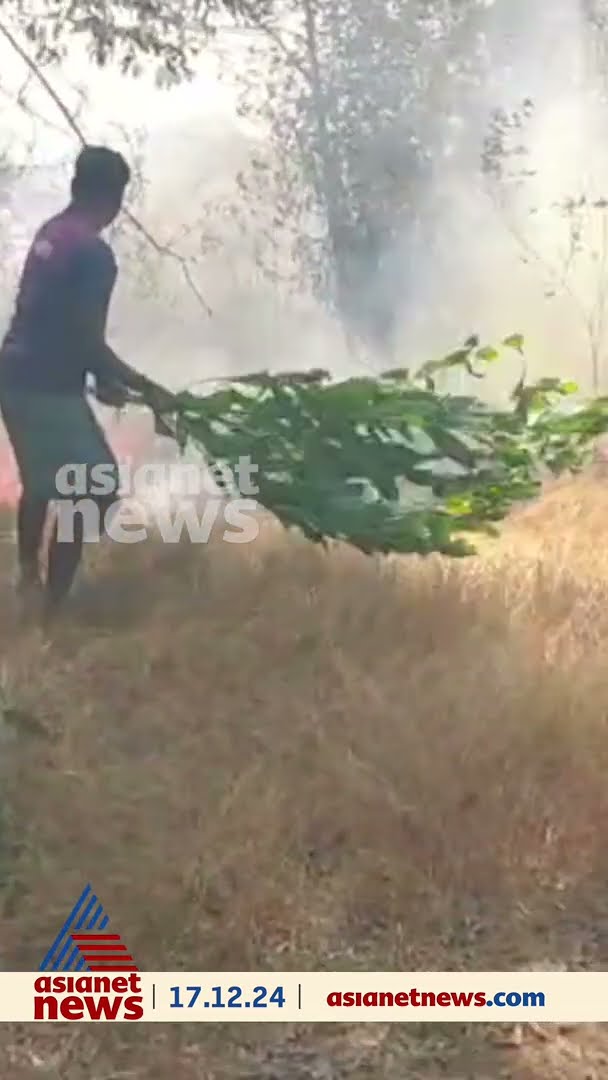 കാസർകോട് പരപ്പയിൽ പറമ്പിലെ പുല്ലിന് തീപിടിച്ചു, കെടുത്താൻ നാട്ടുകാരുടെ തീവ്രശ്രമം