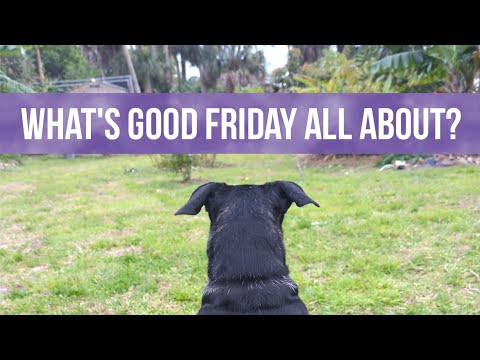Good Friday and Resurrection Sunday/ Easter Sunday - What does this all mean?