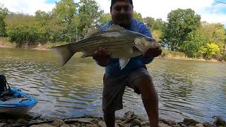 River Fishing On A Windy October Day!! by MOARKS Fishing 847 views 7 months ago 23 minutes