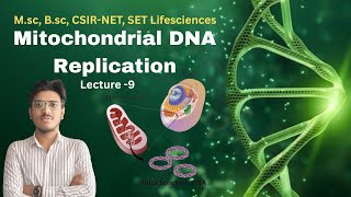 Download Lagu Mitochondrial DNA Replication complete explanation by Aditya Kadbe. MP3