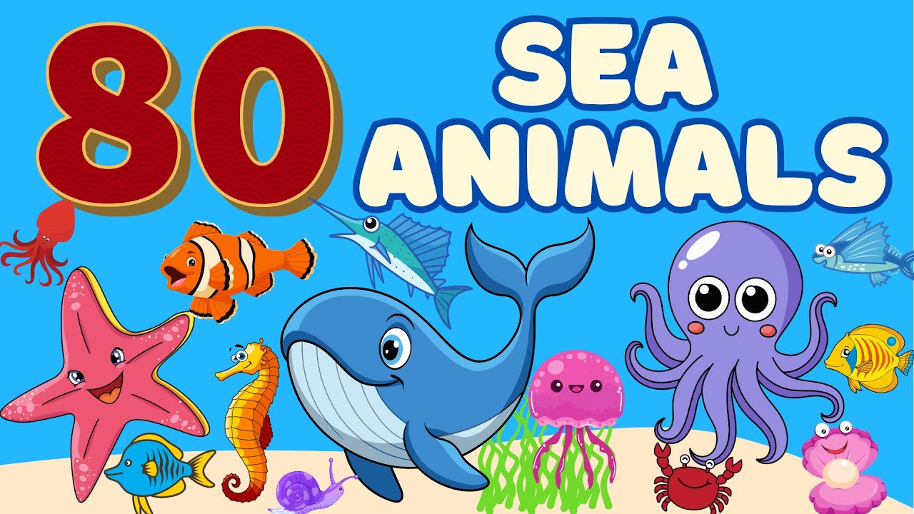 80 Amazing Sea Animals for Kids | Ocean Learning Adventure ...
