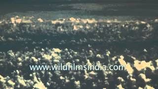 Flight approaches Guwahati from Delhi screenshot 5