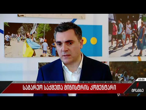 საგარეო საქმეთა მინისტრის კომენტარი