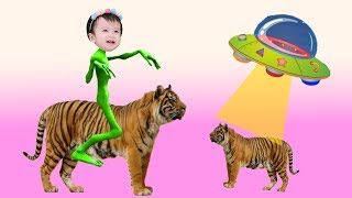 Животные Для Детей Ютуб - Картинки Домашних Животных Для Детей Bonbi Tv