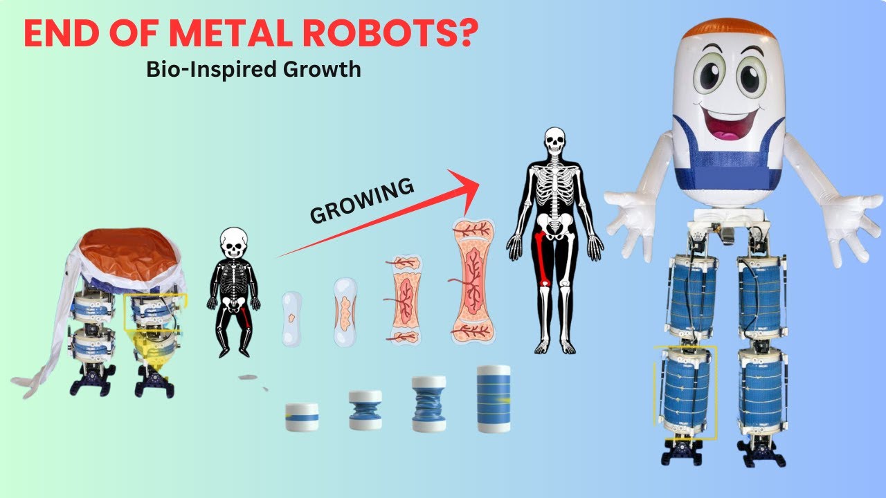 Новый человекоподобный робот действительно может расти! (Биоинспирированная робототехника)