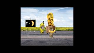 Banana Cat Selling Bananas