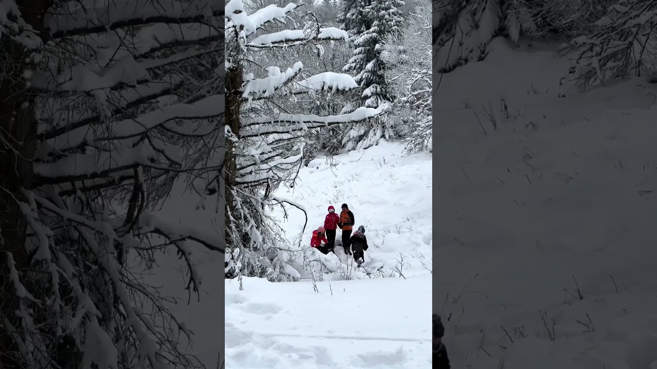 Torfhaus, Altenau, Germany 🇩🇪inst: ekaterinaz21 