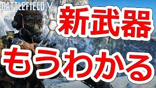 【BF5】追加される武器まとめ【NHG】