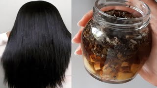 Receita Caseira Para Tratar Queda De Cabelo