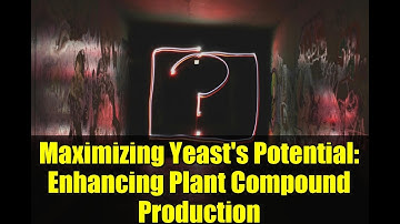 Maximizing Yeast