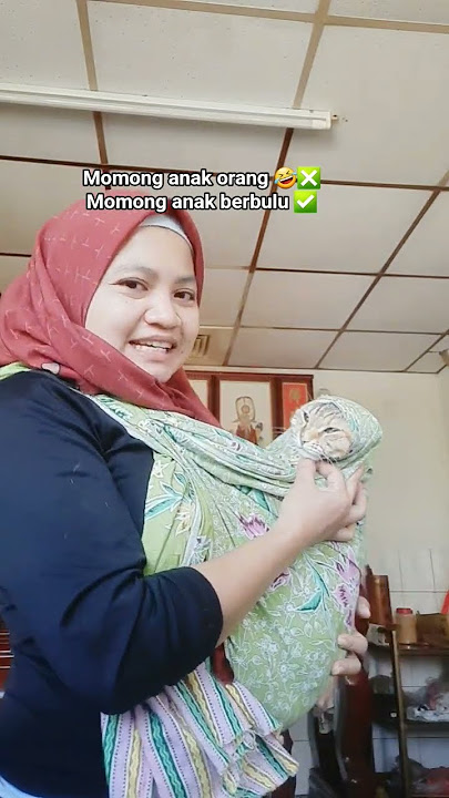 Assalamualaikum semuanya..#chauhu#kucingtaiwan