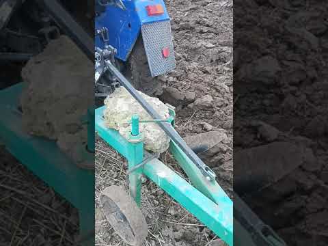 Осіння оранка 29.10.2020