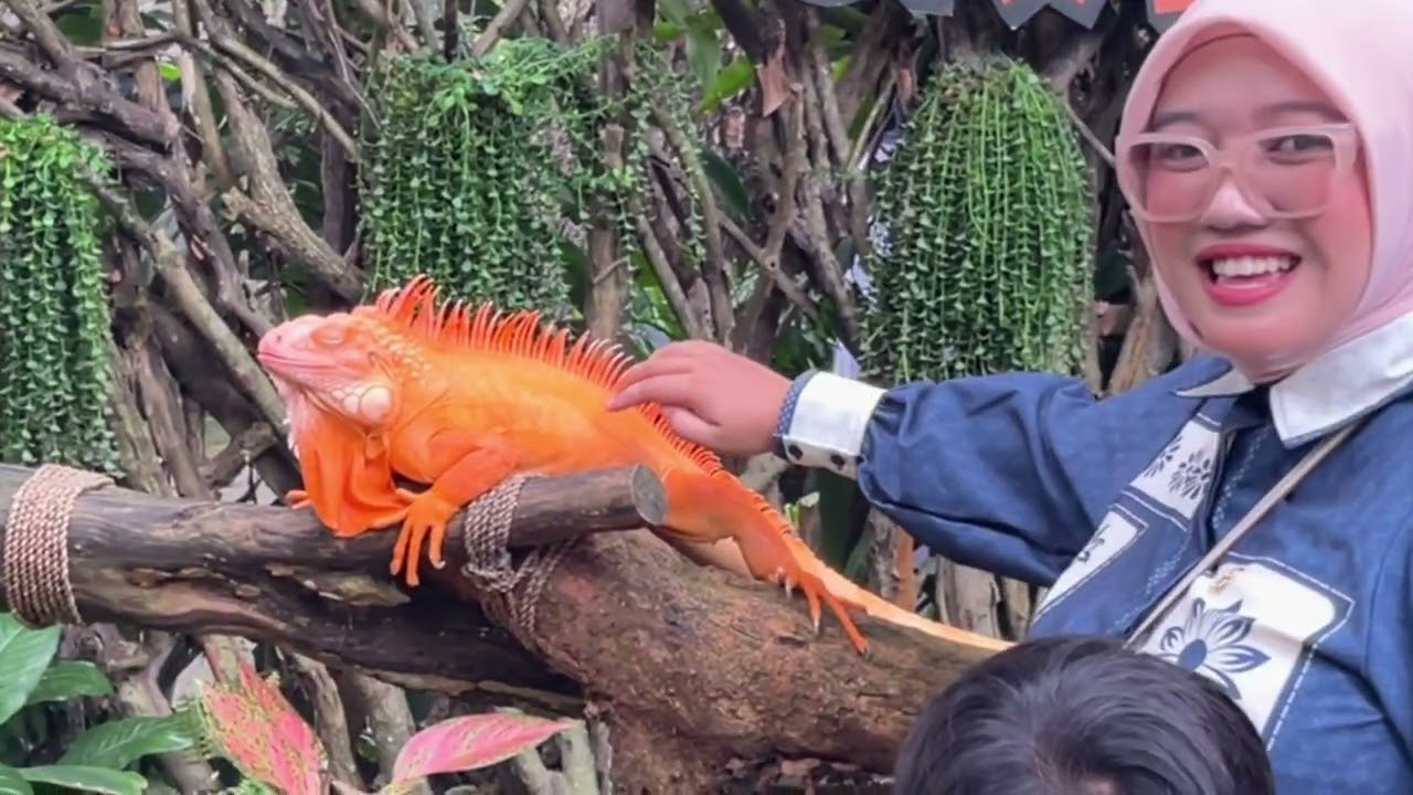 part 2   jogja gembra loka