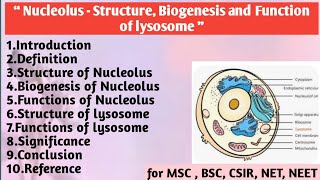 Nucleous | Lysosome | Structure | Biogenesis | Function | Significance 