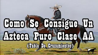 Tipos de Clases de Caballos Aztecas (Desde la A a la F)🐴-Del Cerro Soy