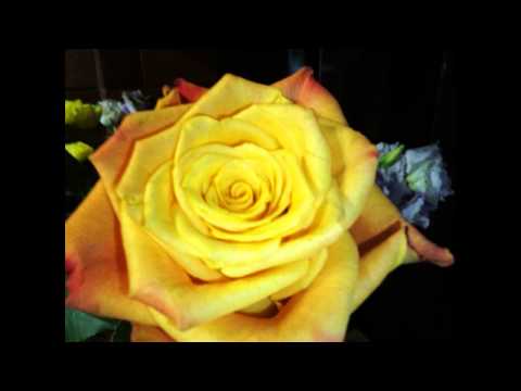 Классные анекдоты для тех, кто немыслит жизни без смеха