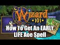 How To Get An EARLY LEVEL Life AOE in Wizard101 Console 