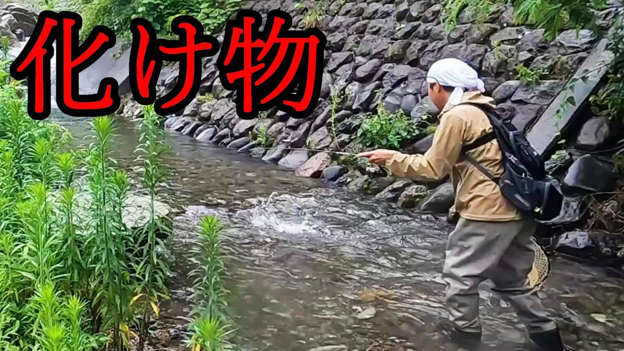 雨降る小渓流に化け物が潜んでいた！～1泊2日のずぼらキャンプ～