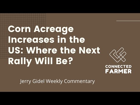 Corn Acreage Increases