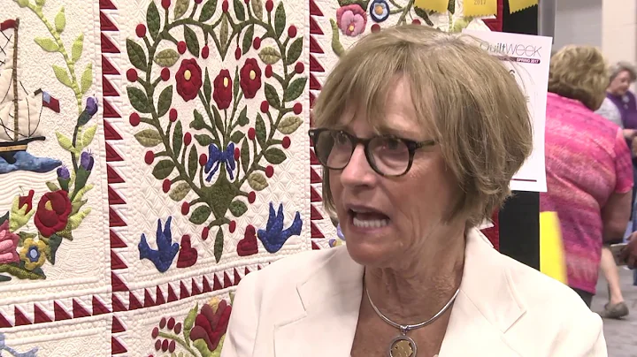 Darlene Donohue Wins 3rd Place in the Wall Quilts:...