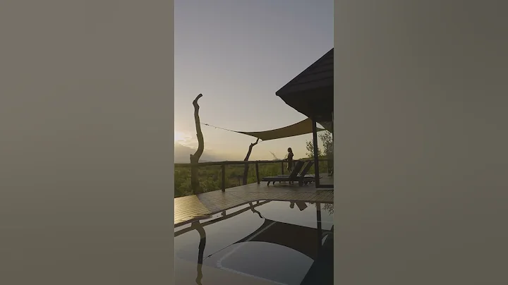 Luxury Suites at Madikwe Hills Private Game Lodge