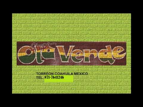 Video: Ola Verde