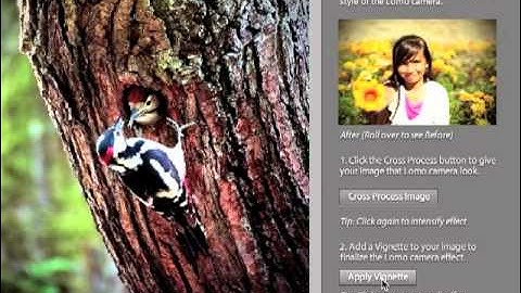 Adobe Photoshop Elements 9 - Making a Guided Edit