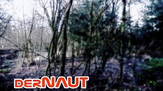 MoodyWoods - Soft&Glow (Royalty HD Free Stock Footage)