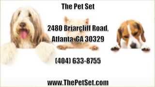 The Pet Set - Reviews - Atlanta, Ga Pet Grooming Reviews