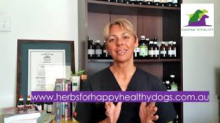 Are those FLEA, TICK AND WORMING products really that bad for your dog??