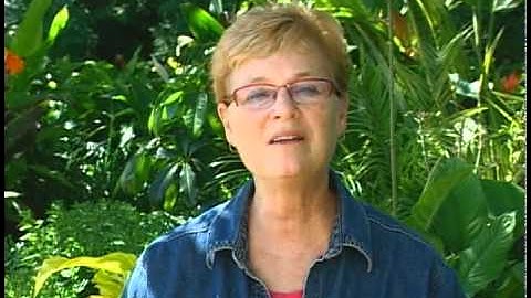 The Importance of Service Learning