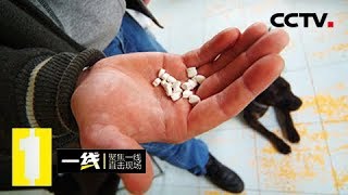 《一线》引蛇出洞：年轻男女深陷运毒漩涡 警方出击将犯罪团伙送入法网 20190219 | CCTV社会与法