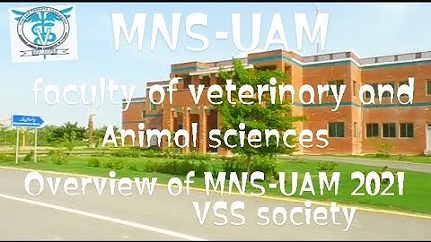 Muhammad Nawaz sharif university of agriculture multan overview || overview of MNS-UAM 2021