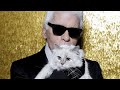 Новый Бизнес Кошки Лагерфельда Choupette | Украшения McDonalds | Кроссовки Карди Би