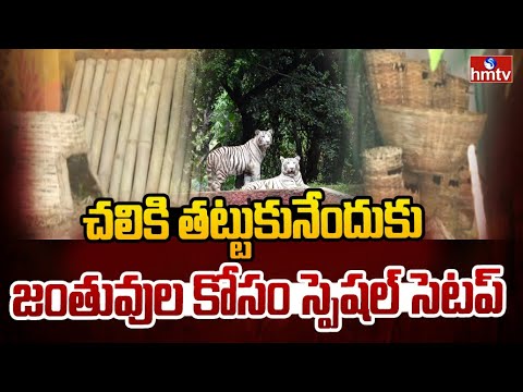 చలి పంజా.. గజగజ వణుకుతున్న ముగా జీవాలు.. నెహ్రు జూలో స్పెషల్ సెటప్ | Winter Effect | hmtv - HMTVNEWS