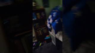 Download Lagu oni no no no no #youtubeshorts MP3