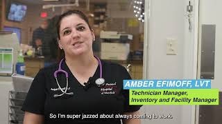 Amber's Journey: Finding Joy in Veterinary Care | Animal Emergency Hospital of Mansfield