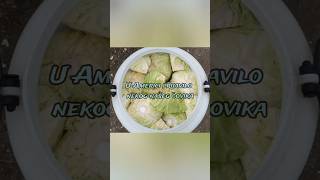 Kiseli Kupus Uništio Američki San