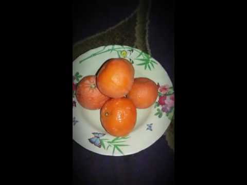 شو يعني كلمنتينه