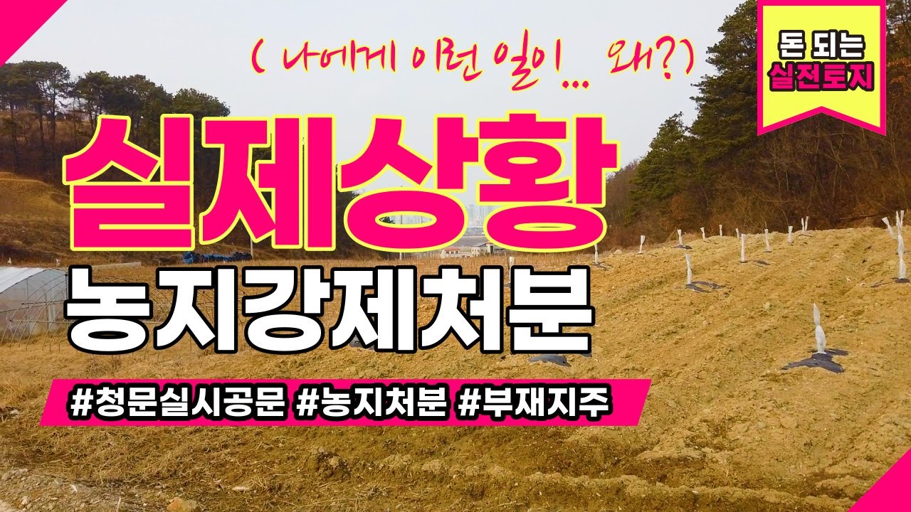 벌써부터 농지처분소식이 들립니다. 부재지주 여러분 땅 뺏기지 맙시다/농지처분명령/청문실시/농지법