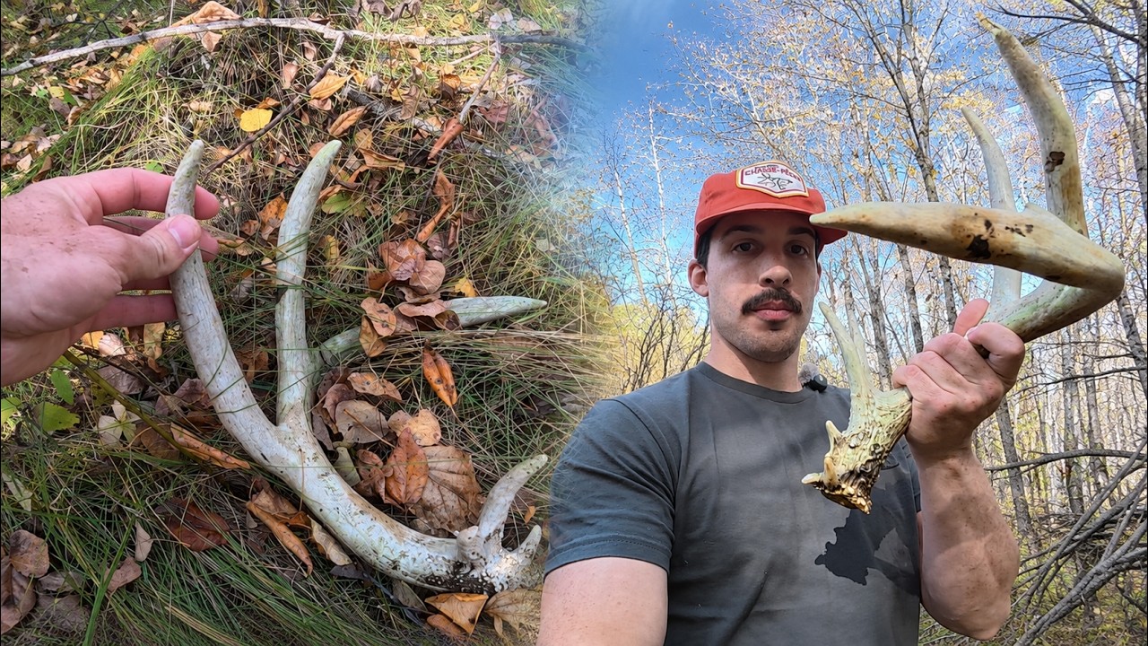 J'ai trouvé un MONSTRE au MINNESOTA! | Sans date de retour EP3