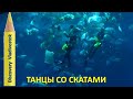 ОКЕАНСКАЯ БЕЗДНА и ТАНЦЫ СО СКАТАМИ / Приморский Океанариум