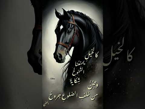 فيديو ٢ سبتمبر ٢٠٢٥