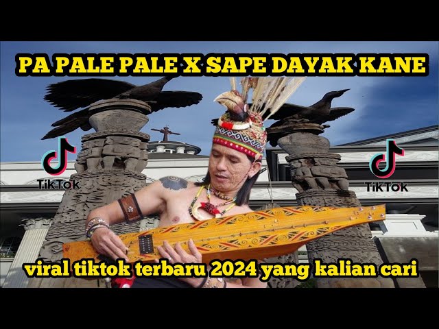 PA PALE PALE x SAPE DAYAK KANE BY REFORMANDA || viral tiktok terbaru 2024 yang kalian cari class=