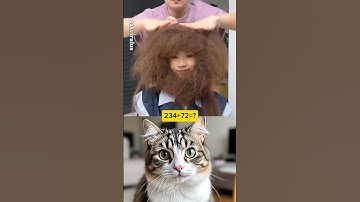 cat reaction video #trending #video #viral #cat #memes