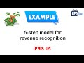 5-step Model for Revenue Recognition under IFRS 15   Example   Journal entries